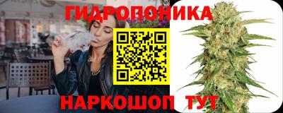 стаф Будённовск